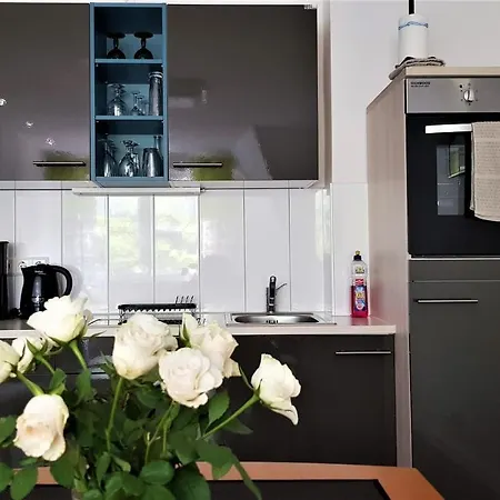 Hankenstrasse Appartement *