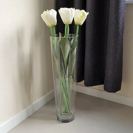 Hankenstrasse Апартаменты