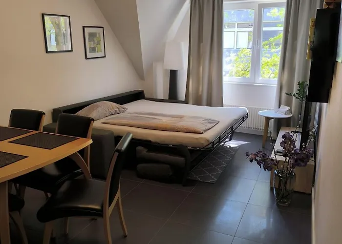 Apartment Hankenstrasse